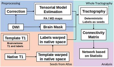 Networks Disrupted in Linguistic Variants of Frontotemporal Dementia